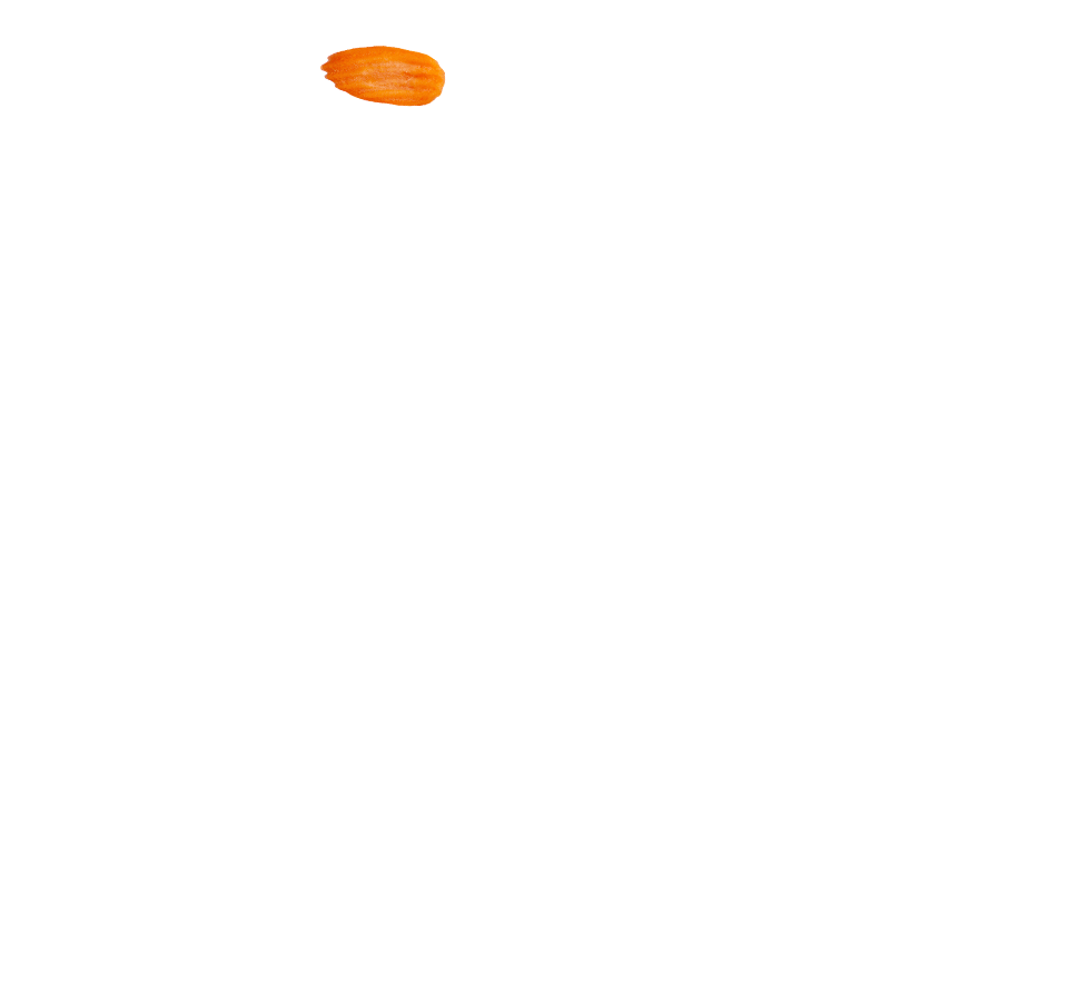 carrot background