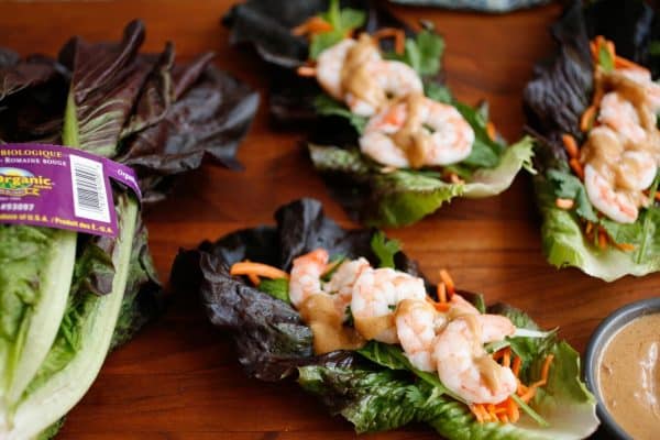 Red Romaine Vietnamese Lettuce Cups