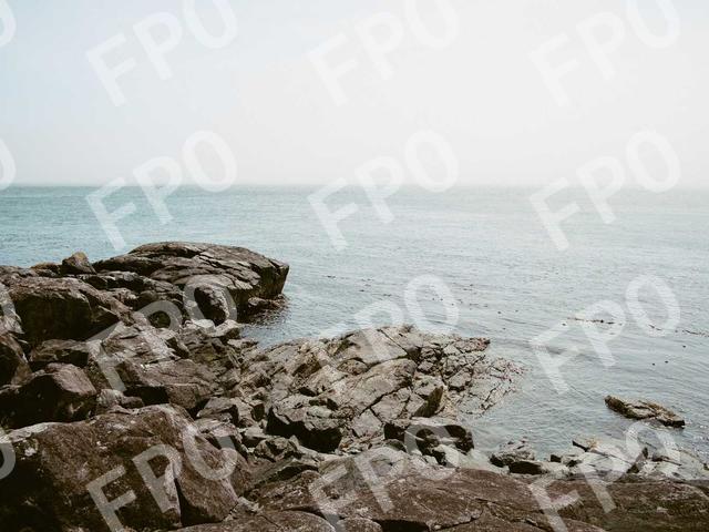 Mus Pulvinar Fermentum