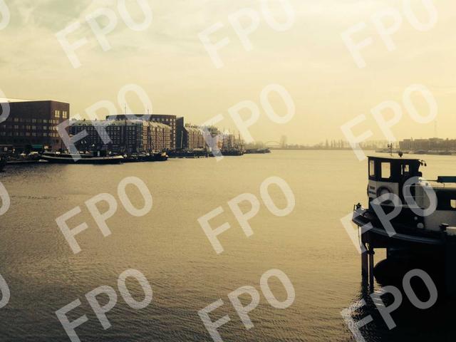 Convallis Porta Non Taciti Lobortis