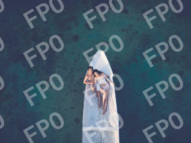 Maecenas Platea Gravida