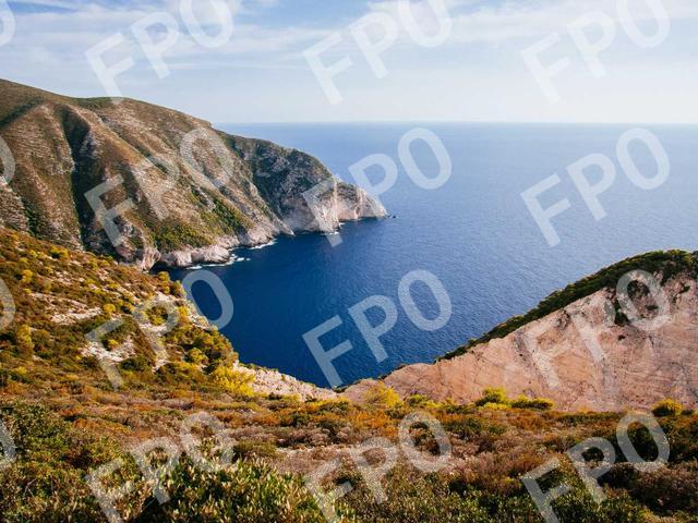 Dis Nec Facilisi Netus Sagittis