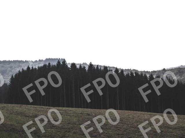 Primis Augue Eu Tincidunt Magnis